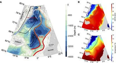 Spatio-temporal analysis of east greenland polar front